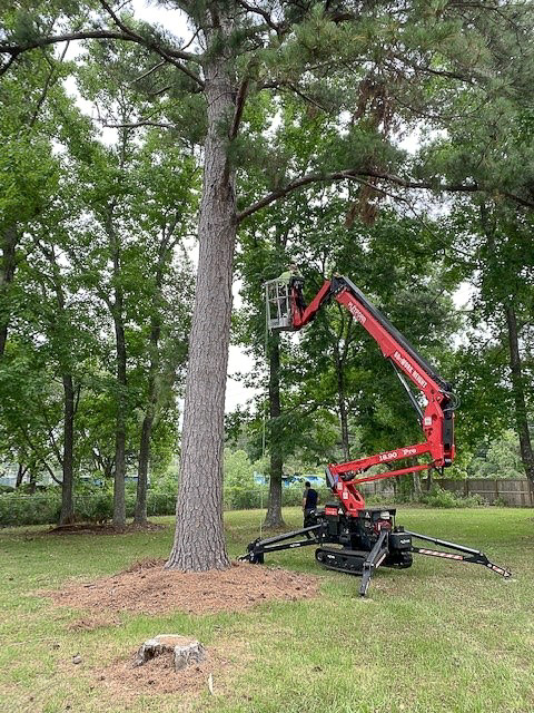 Mount Pleasant Gov on Twitter: "𝘛𝘢𝘭𝘬 𝘢𝘣𝘰𝘶𝘵 𝘢 𝘧𝘦𝘢𝘵𝘩𝘦𝘳 𝘪𝘯 𝘰𝘶𝘳 𝘤𝘢𝘱! Town