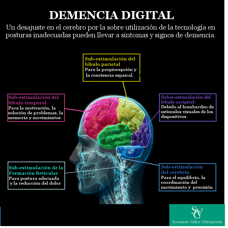 Es hora de conectarnos más con el mundo real, ¡la virtualidad puede ser contraproducente para nuestro cerebro!