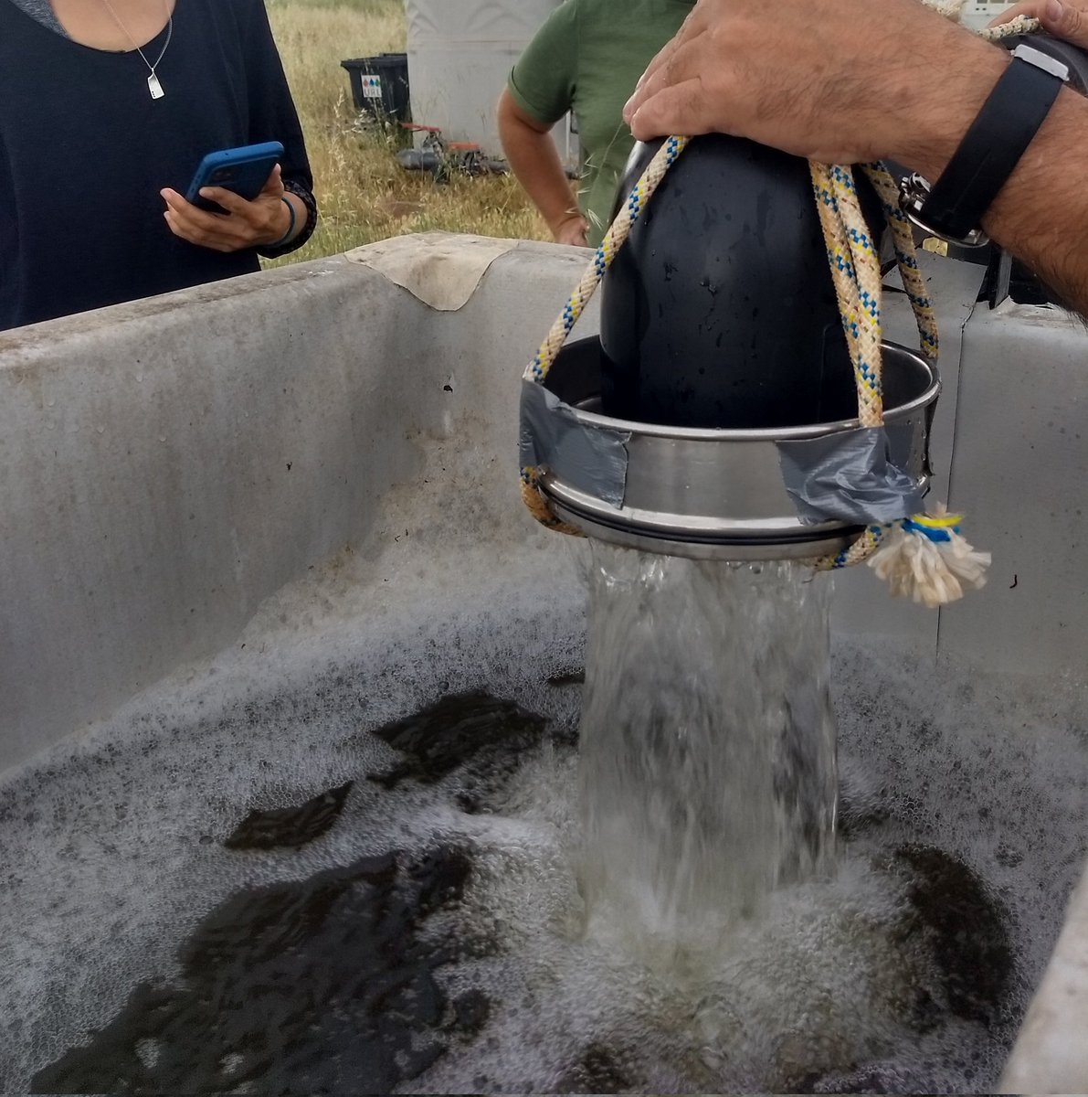 hacdoso's tweet photo. Seeking for bacteria attached to plastics in sewage and Besos River in #Bactplast with @aneguet77 @putxinelli https://t.co/wZfT1AC3uD