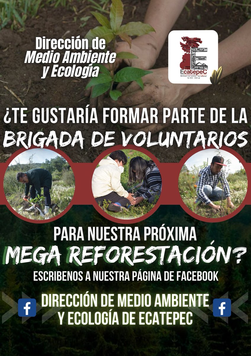 Dirección de Medio Ambiente y Ecología Ecatepec tweet media