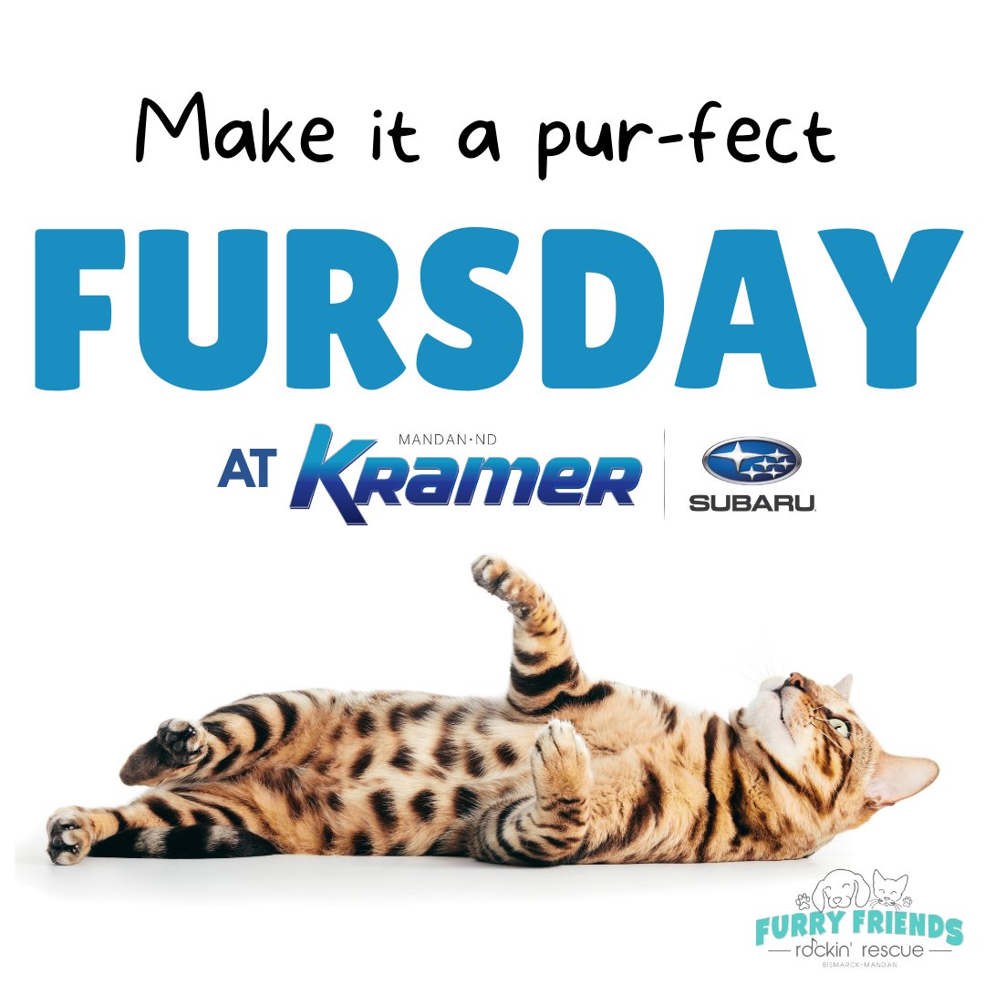 KramerAutomoti2's tweet image. 🐾 FURSDAYS are the best, and we want you to come hang out with us! Join us every #Fursday at our sister location #KramerSubaru to meet a furry friend from @Furryfriendsrockinrescue!

Take a look at our inventory or schedule your service appointment: 🖥️ bit.ly/3gVEMRH
