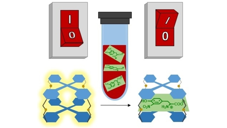 angew_chem's tweet photo. A Fluorescent Cage for Supramolecular Sensing of 3-Nitrotyrosine in Human Blood Serum (Carrillo) @CarrilloGroup @IPNA_CSIC #openaccess https://t.co/KHUqAhIUTs https://t.co/71XGGW9hks