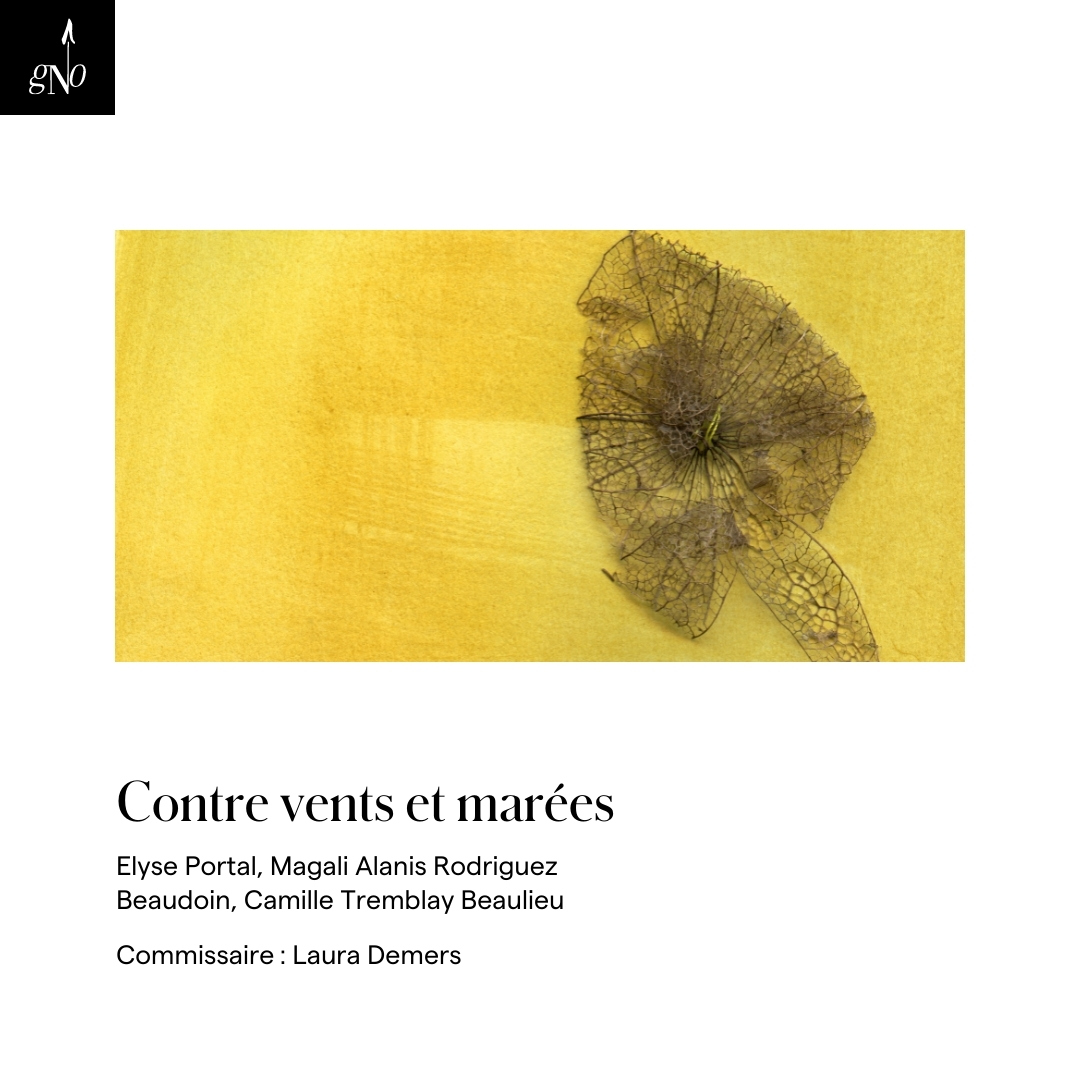 Marquez vos calendriers! La GNO annonce son exposition d'été « Contre vents et marées ». 
Plus d'info : gn-o.org/programmation 
// 
Mark your calendars! The GNO announces its summer exhibition "Against All Odds". 
More info: gn-o.org/en/programming