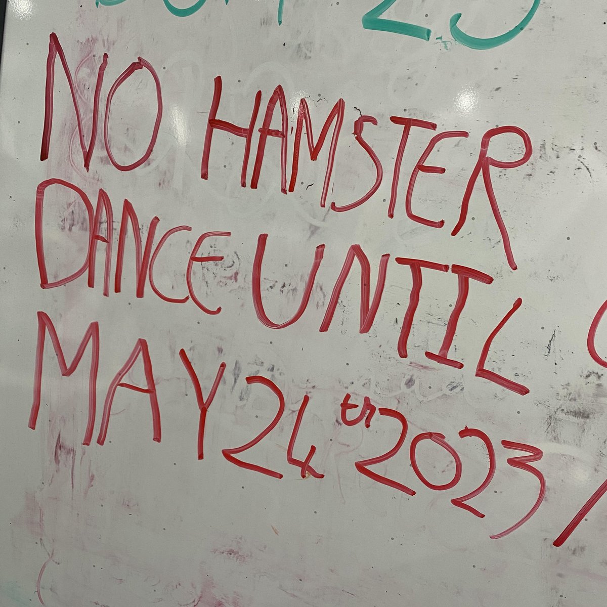 alt943winnipeg's tweet photo. Yesterday Kalie was looking after the takeover for me, sadly she played the hamsterdance, which means we now have to reset the hamsterdance clock! #OnlyOnceAYear - Chri https://t.co/vX1wvVQbTx