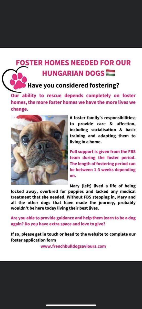 Cherylina's tweet photo. We need your help! Please help if you feel you can open your home up to these babies. #AdoptDontShop #frenchbulldogs https://t.co/MNaW9TALCQ
