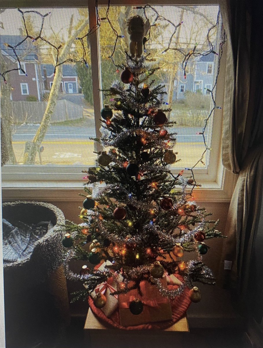 Alexa969853372's tweet photo. Christmas memories! #ChristmasTree #christmasmemories https://t.co/394jXfMs1Q