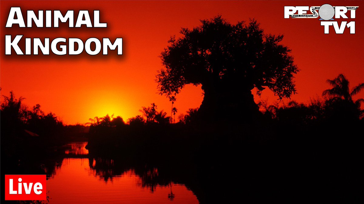 ResortTV1's tweet image. Join us today at 5pm ET for an Evening at Disney’s Animal Kingdom!  

The stream will be live here - youtube.com/watch?v=GnzhyC…  

We’ll enjoy some rides, stroll the park, and just enjoy a relaxing evening in this beautiful park!  See you at 5pm ET!