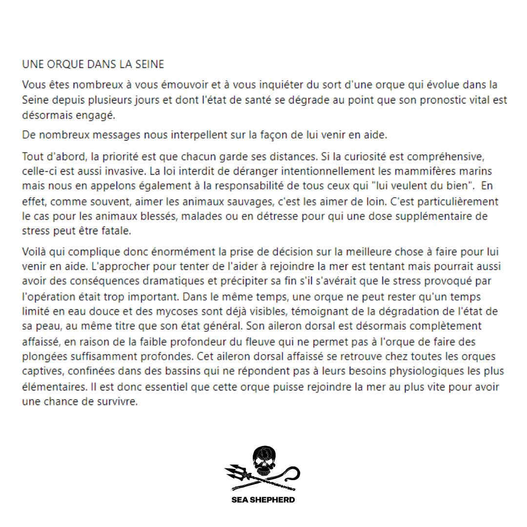 SeaShepherdFran's tweet photo. Vous êtes nombreux à vous émouvoir du sort d’une orque qui évolue dans la Seine depuis plusieurs jours et des messages nous interpellent sur la façon de lui venir en aide. Voici ce qu’on en pense 👇 https://t.co/pXV7Fw3cbF