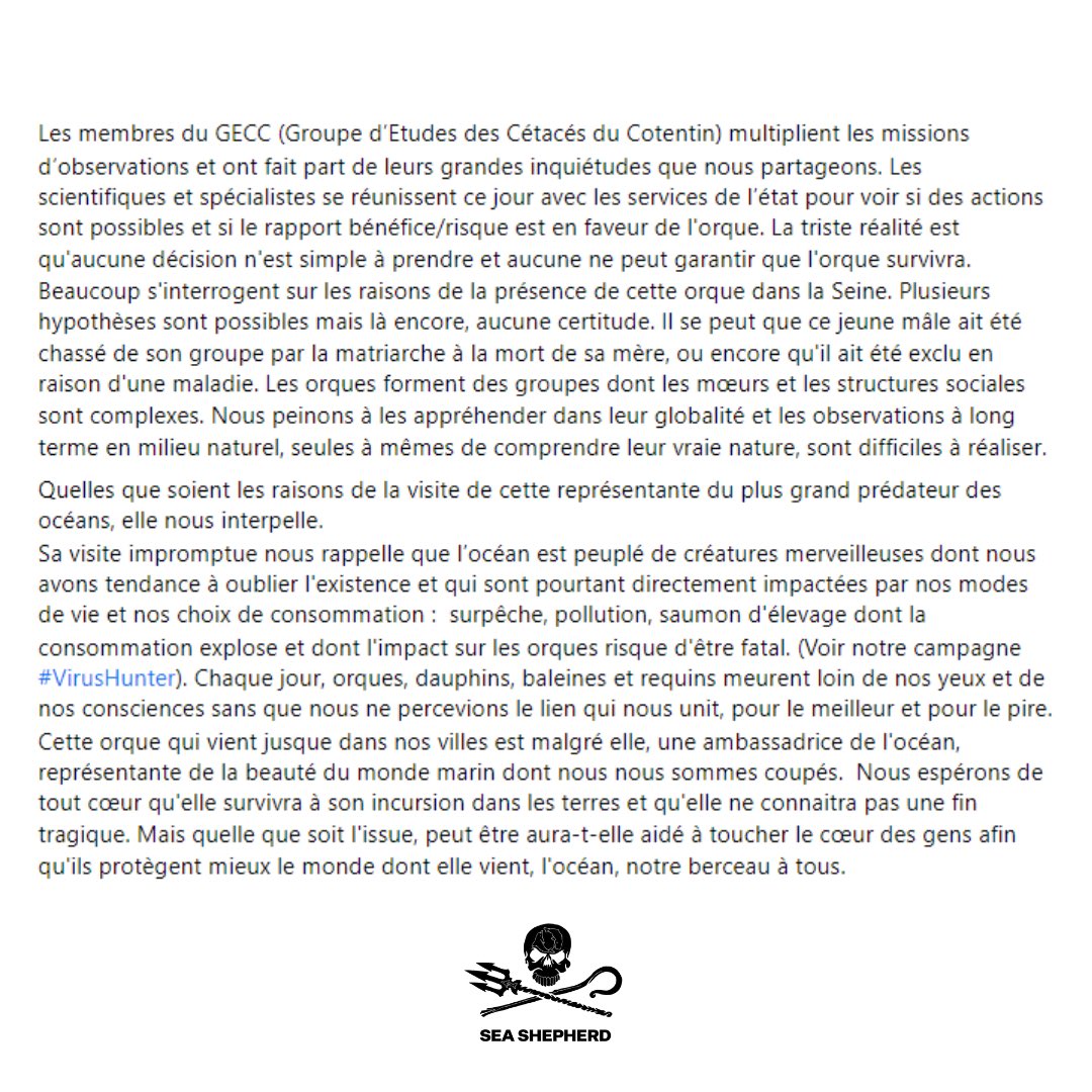 SeaShepherdFran's tweet photo. Vous êtes nombreux à vous émouvoir du sort d’une orque qui évolue dans la Seine depuis plusieurs jours et des messages nous interpellent sur la façon de lui venir en aide. Voici ce qu’on en pense 👇 https://t.co/pXV7Fw3cbF