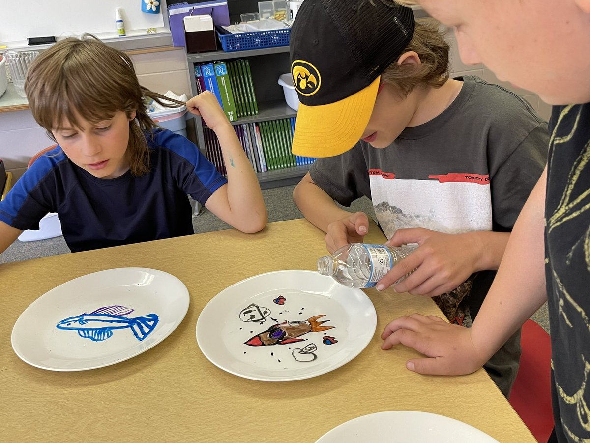 End of the school year science experiments!