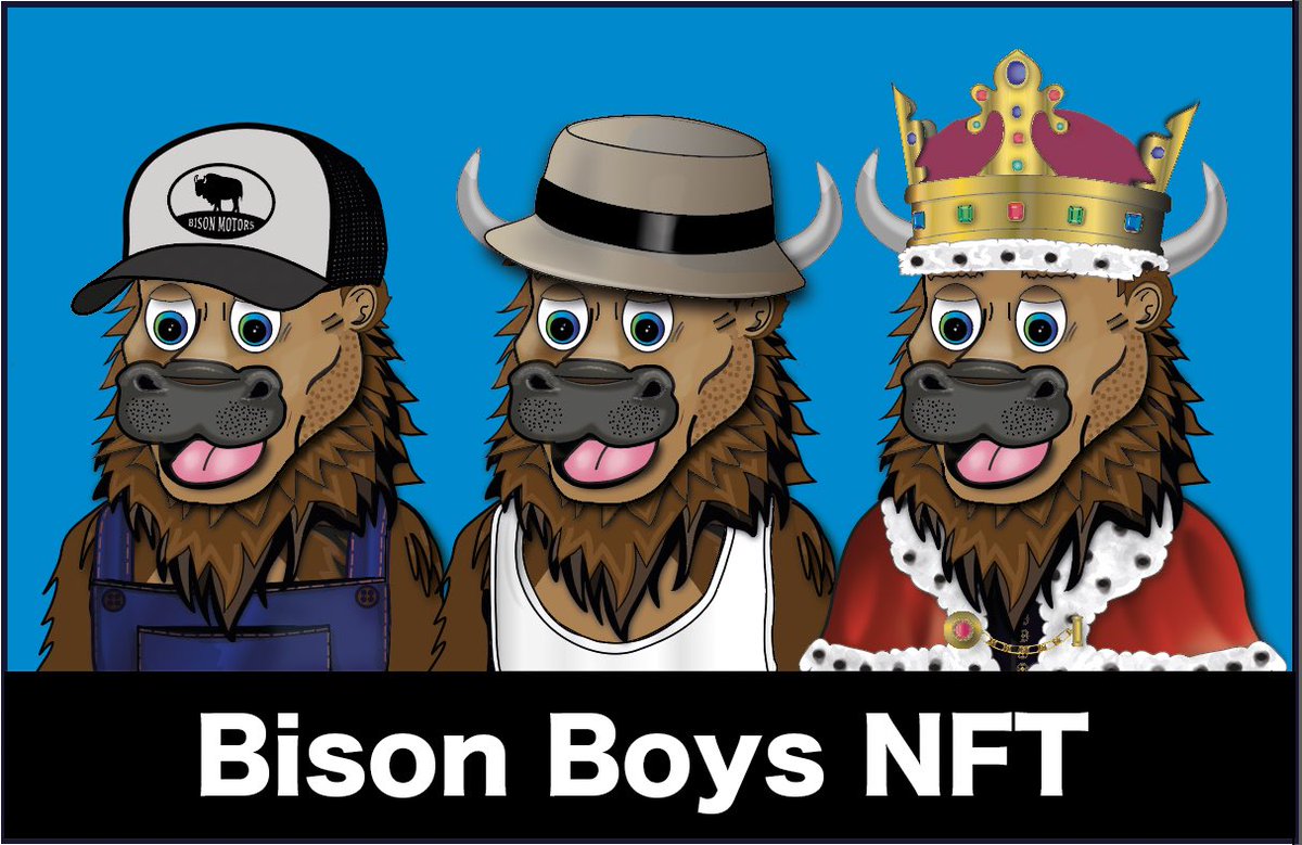 BisonBoy7 tweet media