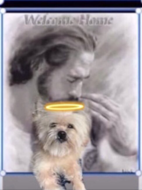 Charlot31041072's tweet photo. Angels in time of need for Texas . Please visit Texas today . Families need all . Angel 😇 calling on all angels 🙏🙏🙏 children 👶 lost in violence . Elementary school 🏫 can’t do it myself . Calling on you 🙏🙏🙏😇😇#OTLF https://t.co/EemocCTME7