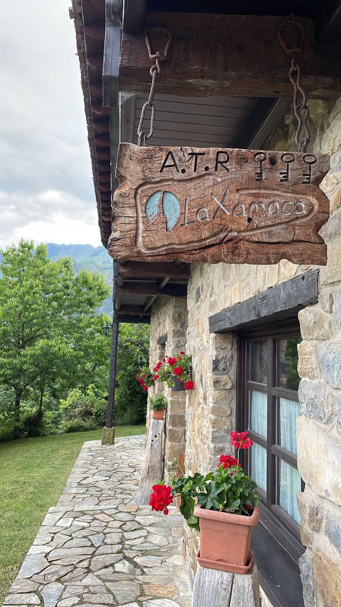 LaXamoca's tweet photo. Así , en primera plana . @LaXamoca
#redesnatural
#turismoasturias #asturiasparaisorural #asturiasparaisonatural #Soyecoturista https://t.co/hXwNGpgiTC