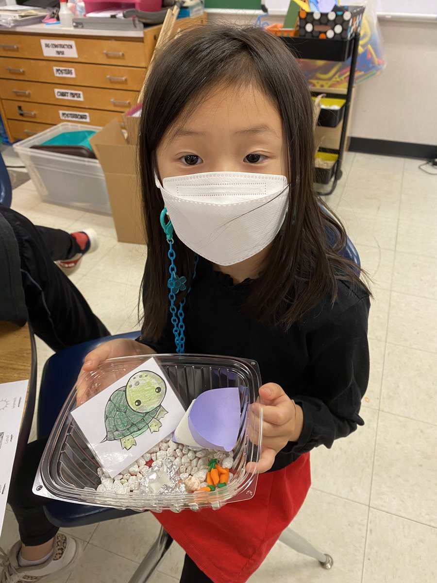 MosaicES_STEAM's tweet image. Kindergarten made turtle habitats that have: food, water, land, and light. We tested materials and found that aluminum foil held water the best. Thanks @EiE_org for the inspiration! @FCPSSTEAM #iteachsteam #STEMeducation @mes_jgaudet #Kindergarten #kinderjoy