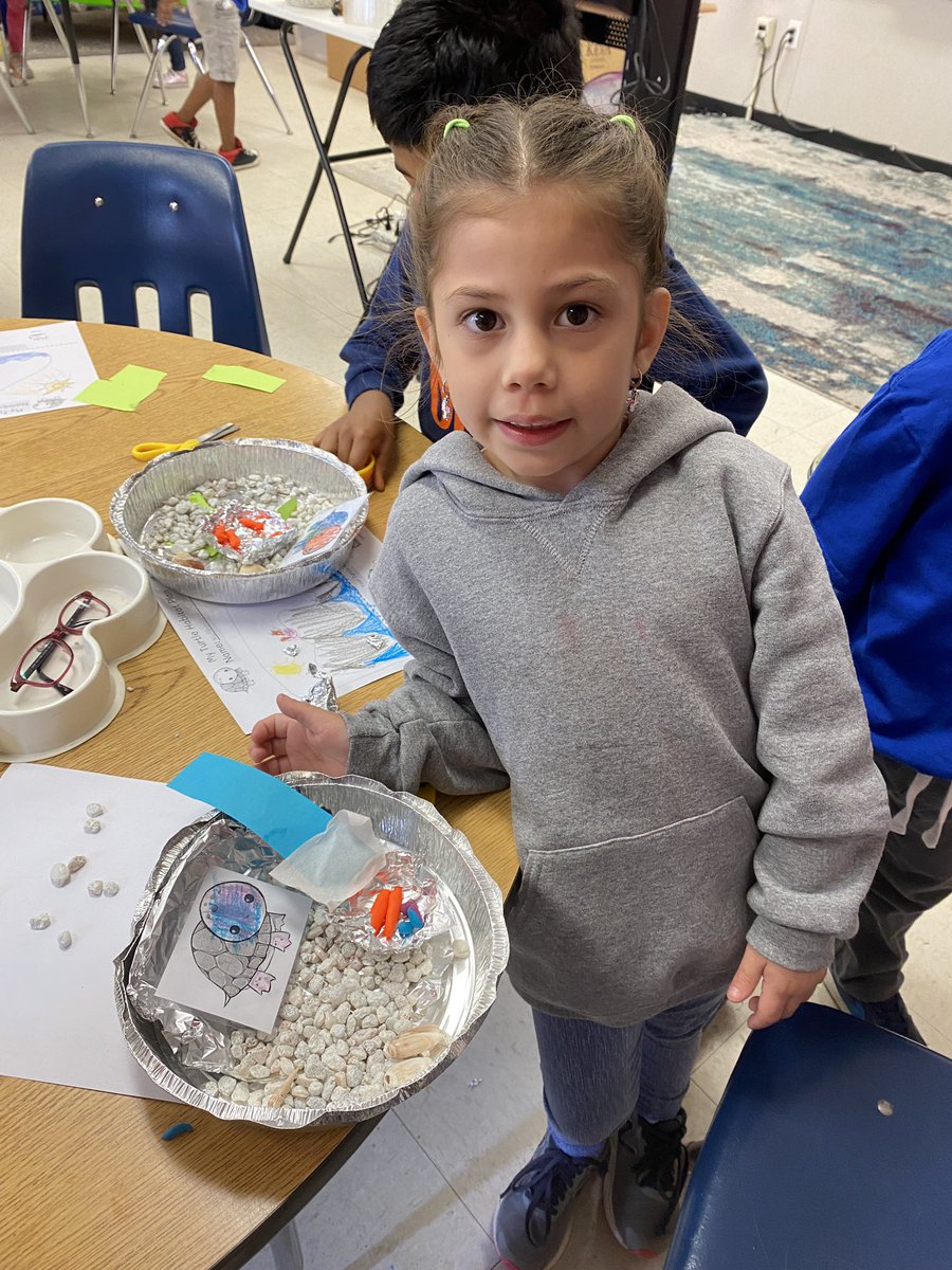 MosaicES_STEAM's tweet image. Kindergarten made turtle habitats that have: food, water, land, and light. We tested materials and found that aluminum foil held water the best. Thanks @EiE_org for the inspiration! @FCPSSTEAM #iteachsteam #STEMeducation @mes_jgaudet #Kindergarten #kinderjoy