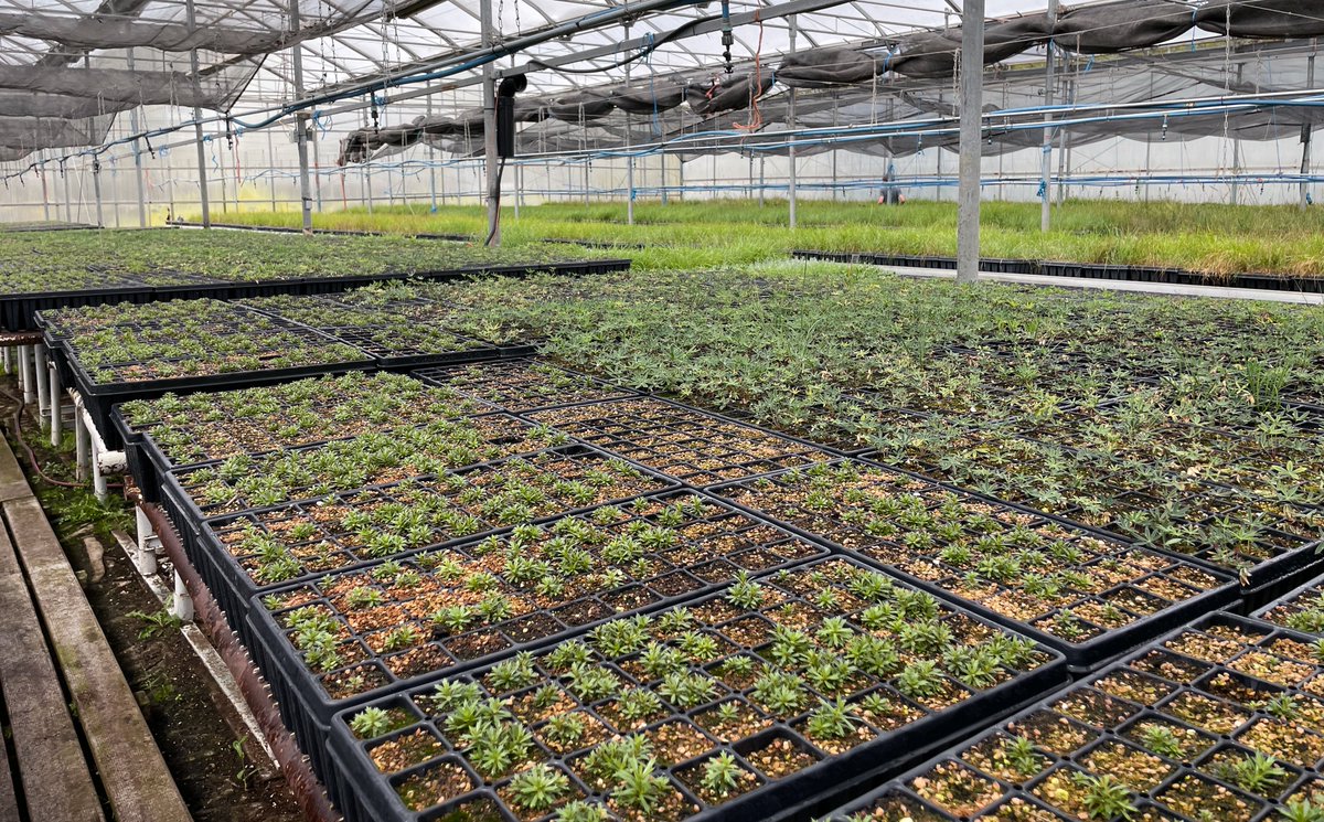 Olds College of Agriculture & Technology tweet media