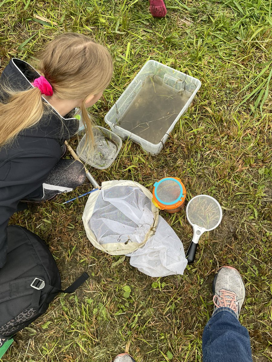 SD22AltPrograms's tweet photo. vLearn on safari with Ward Strong a local entomologist. #outdoorlearning #biodiversity #syilxterritory #sd22learns https://t.co/RoMfovL6sJ