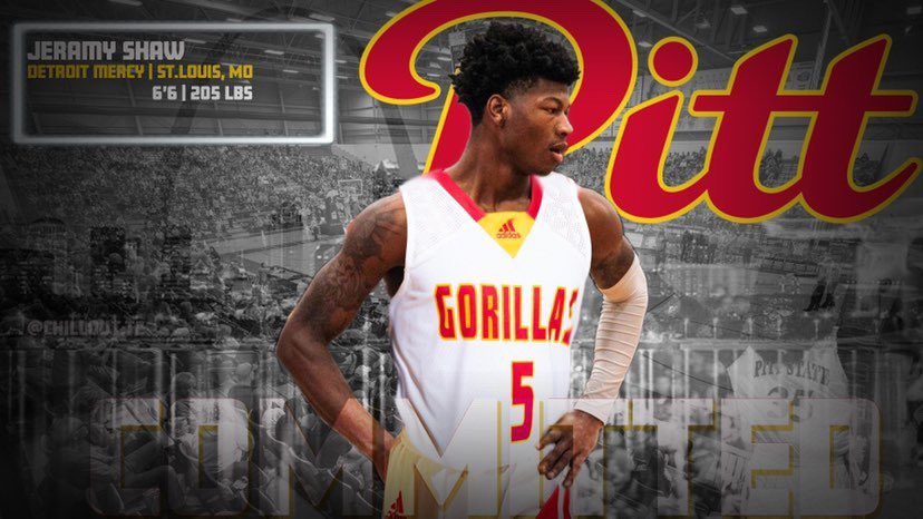 Jeramy Shaw tweet media