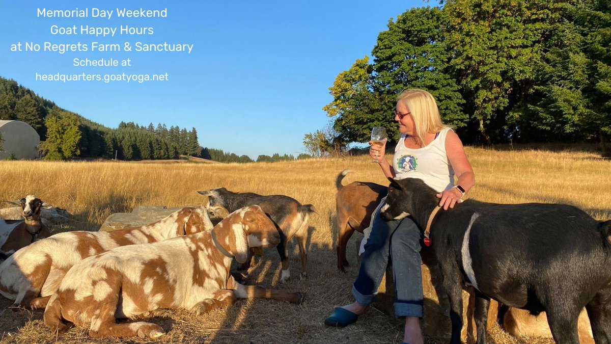 VisitCorvallis's tweet photo. Looking for something fun to do around #CorvallisOR for the holiday weekend? Schedule a Goat Happy Hour with No Regrets Farm &amp; Sanctuary! Book yours here: https://t.co/50f5SWebI8 
📷: Lainey Morse https://t.co/ax3SRSLxEV