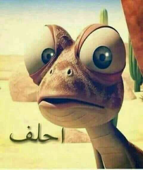 kethara69's tweet photo. @ghalb_shabandar احلف https://t.co/BIdpRnxK6L