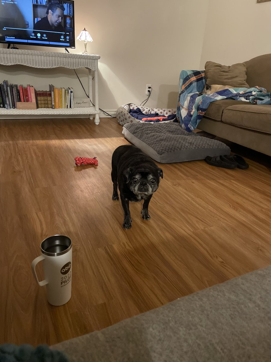 stephandrach69's tweet image. she’s waiting for you to listen to our new episode so do not disappoint her