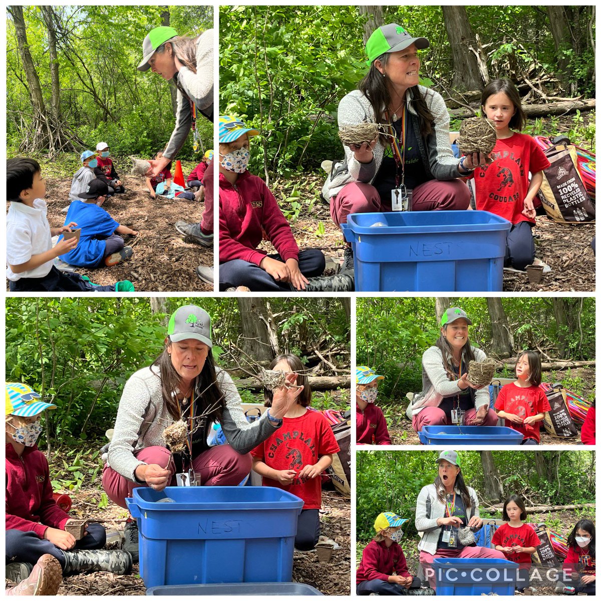 HTS_MsDAprile's tweet photo. Thank you Nature Nancy for teaching 2B all about birds! We learned about bird calls, bird migration, and bird nests. As a bonus nature experience, we even planted potatoes and mung beans! #BirdsOfAFeatherStickTogether  @HTSRichmondHill https://t.co/Qo6aGGgYi1