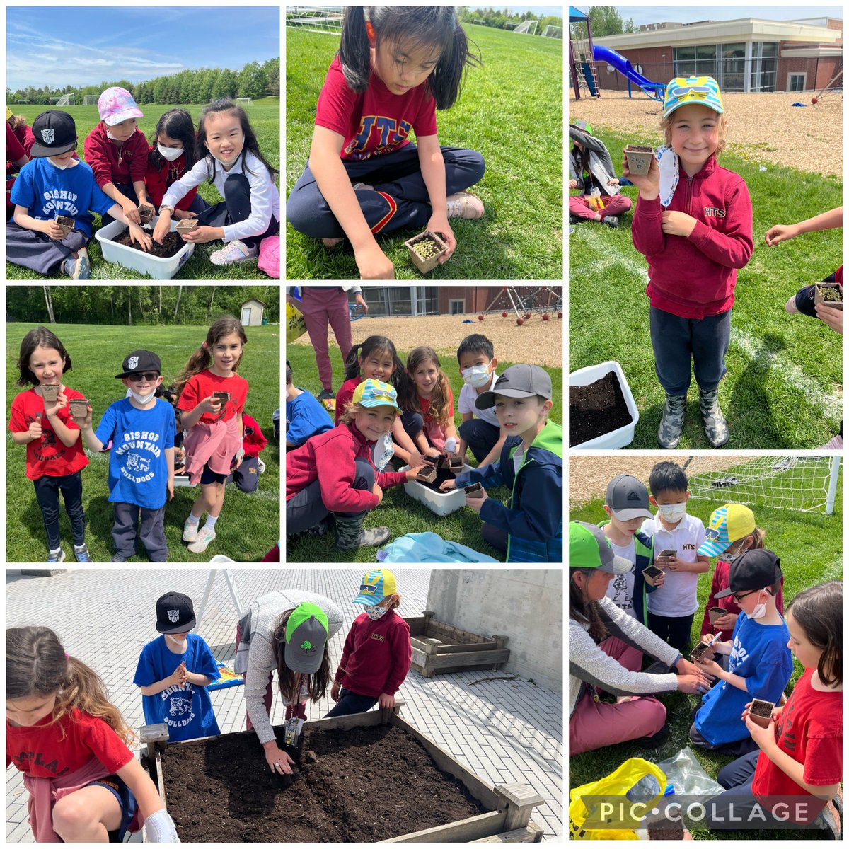 HTS_MsDAprile's tweet photo. Thank you Nature Nancy for teaching 2B all about birds! We learned about bird calls, bird migration, and bird nests. As a bonus nature experience, we even planted potatoes and mung beans! #BirdsOfAFeatherStickTogether  @HTSRichmondHill https://t.co/Qo6aGGgYi1