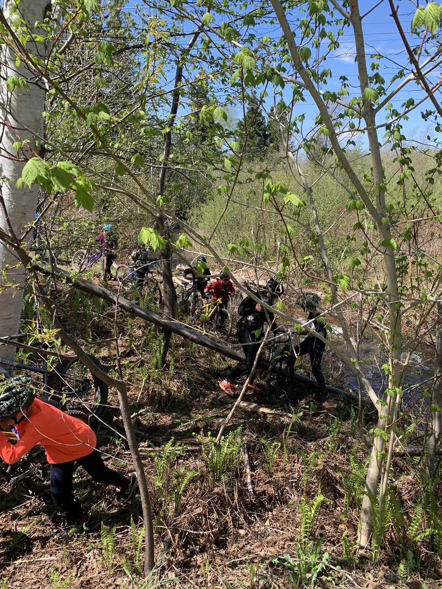 cjbrake_pe's tweet photo. Biking got a little tangly today but no worries… a little bush whacking was no obstacle for these mtn bikers on this fine day. @BicycleNL @pasadenaelem #kidsmove @MNPS_kidshealth https://t.co/Bs71wn2wOM