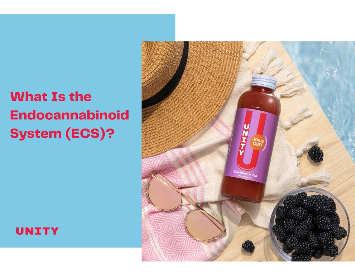 UnityWellnessCo's tweet image. What Is the Endocannabinoid System (ECS)?

unitywellness.co/blogs/blog/end…
#CBD #hempcbd #endocannabinoid #ecs