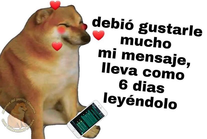 paracetamor's tweet photo. https://t.co/9aiYReHjmn