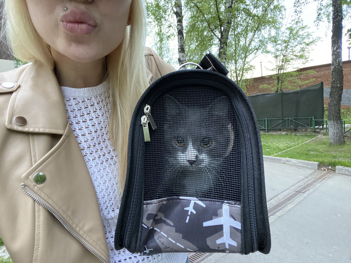 _KiraaLisaa's tweet photo. У меня теперь мурчалка дома!!! https://t.co/QSWkZJZ6zl