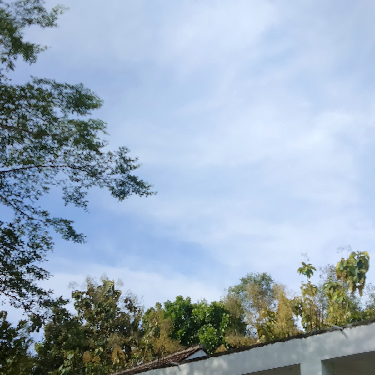 bintangSenja04's tweet photo. #FotoProfilBaru https://t.co/bq3Ao5LIz2