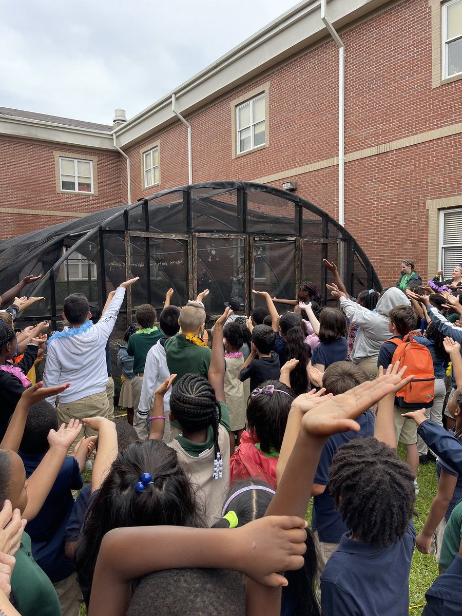 2022 ERD butterfly release pictures! @DicksonTigers @beckymurray13