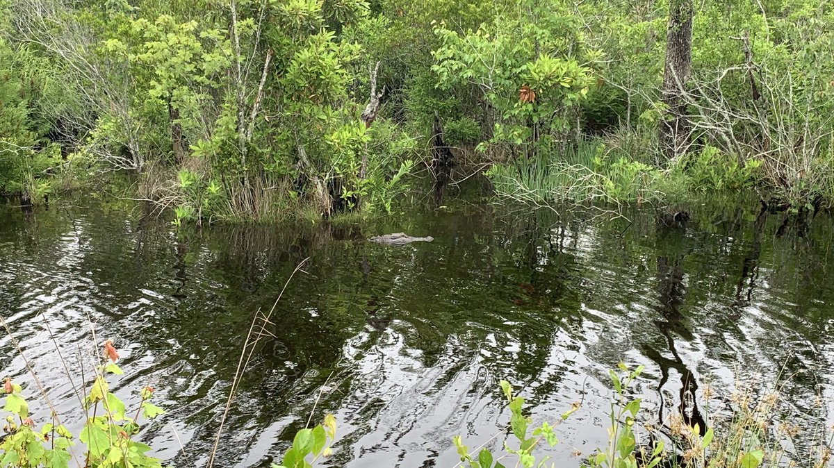 Howard Dunleavy tweet media