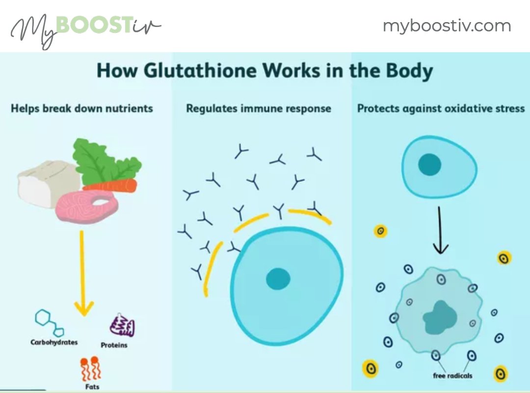 MyBoostIV's tweet photo. The levels of antioxidant glutathione may be reduced in the body by a number of factors, including poor nutrition, environmental toxins, stress, and age. Now at our #MyBoostIV facility you can get a glutathione add-in for only $50 https://t.co/qdABQTTBf1 https://t.co/rTxzlIjlj1