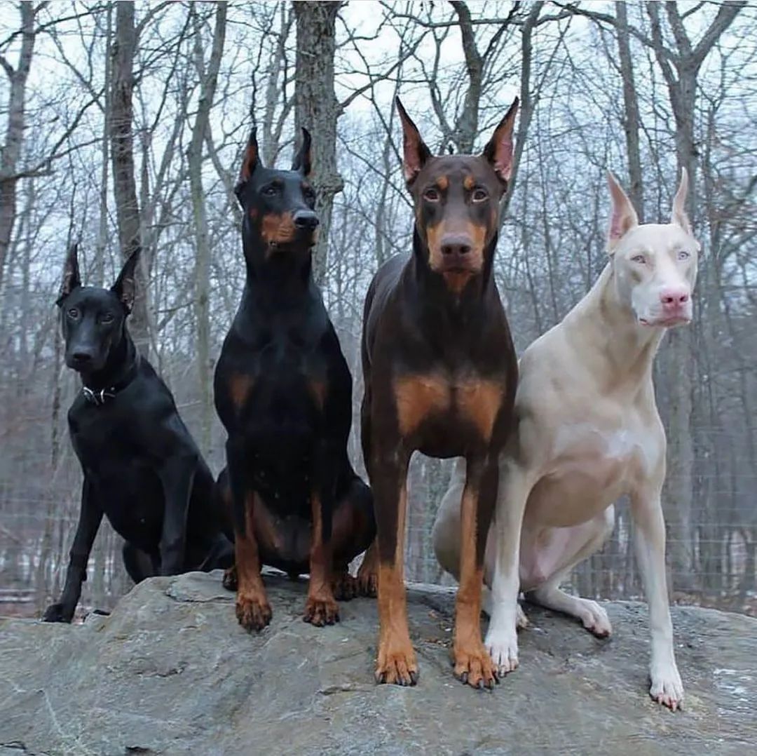 ARTIFAXING (@pedestrian) on Twitter photo 