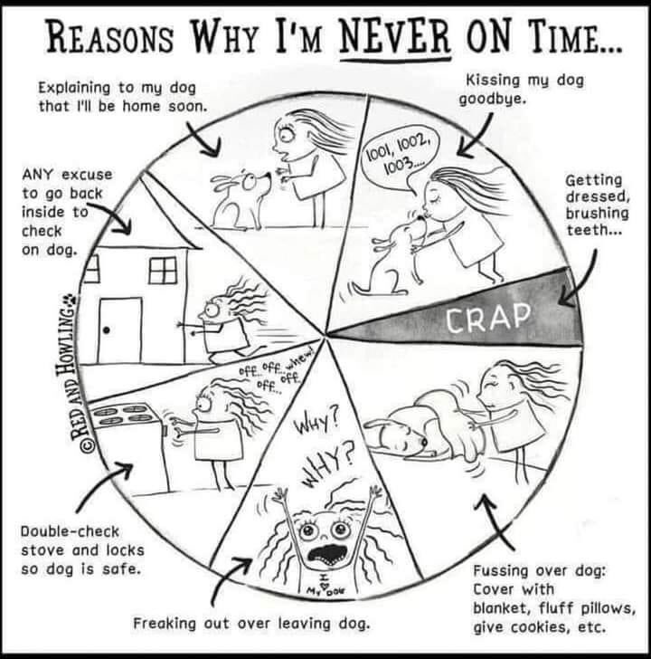 k_zackowski's tweet photo. Definitely me! Also because I don’t know how time works 🤣 #DogMom Comic credit: @RedandHowling https://t.co/266R65Wkkm