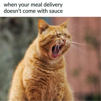 STFMediaAccount's tweet photo. Where's the lamb sauce! https://t.co/XNubEvMpUv