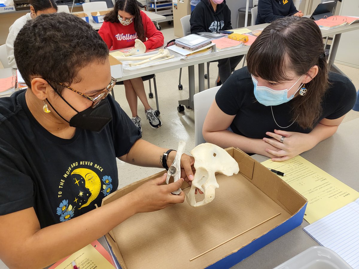 REU Bioarchaeology of Bronze Age Social Systems tweet media