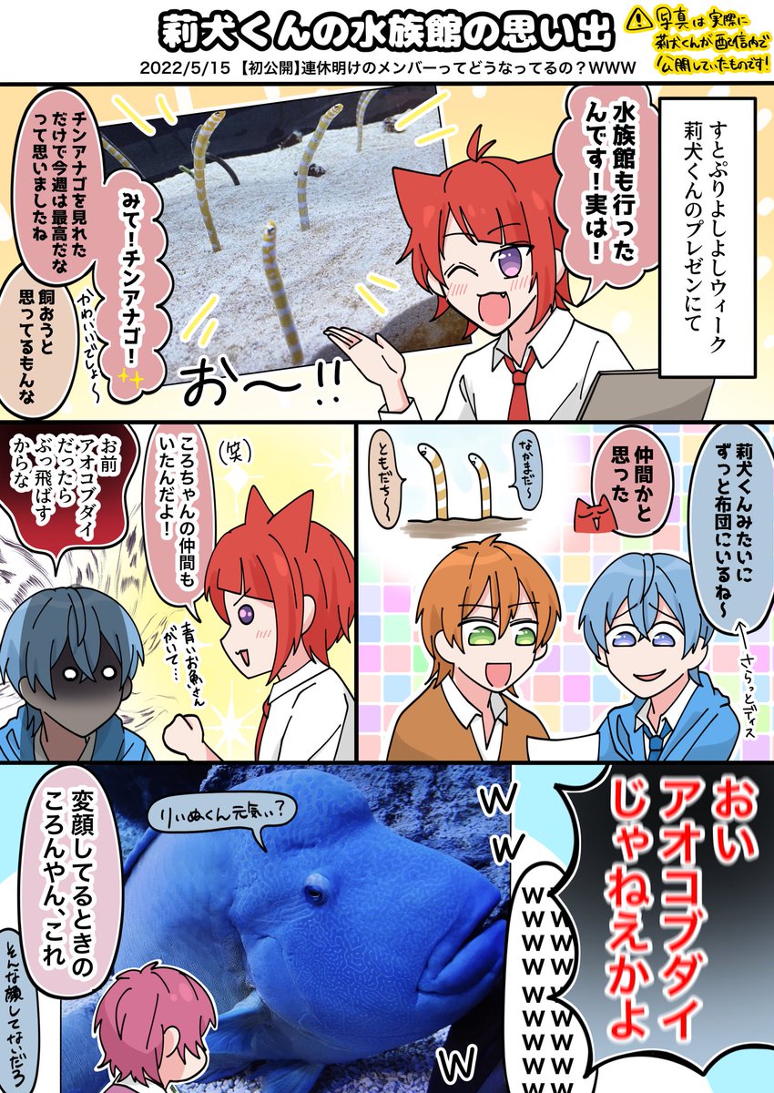 ちなみにこの青い魚は、コブダイではなく、ナポレオンフィッシュです。 