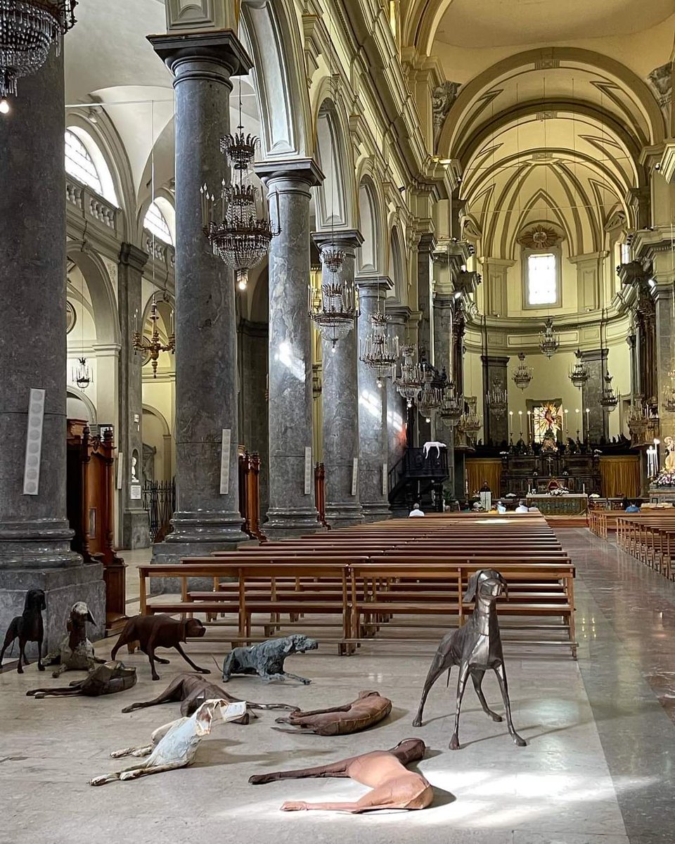 Fondazione Falcone tweet media