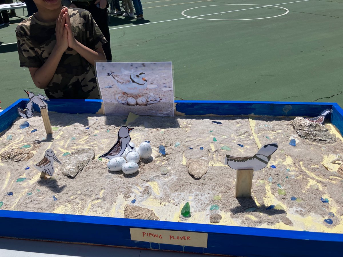 BKNorthNYCDOE's tweet photo. @HarborSchoolBK hosted Harbor Fair today--it was a blast listening to students explain their Community Action Projects, Playground Resign Projects, seeing their model boats & habitat plans for harbor wildlife. @NYCDOED15 #projectbasedlearnjng #placebasedlearning #designthinking https://t.co/EPv5DN5vwO
