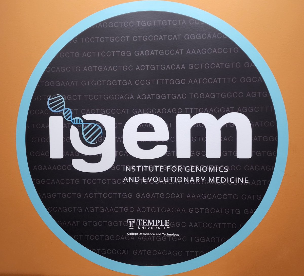 Whetstine Lab tweet media