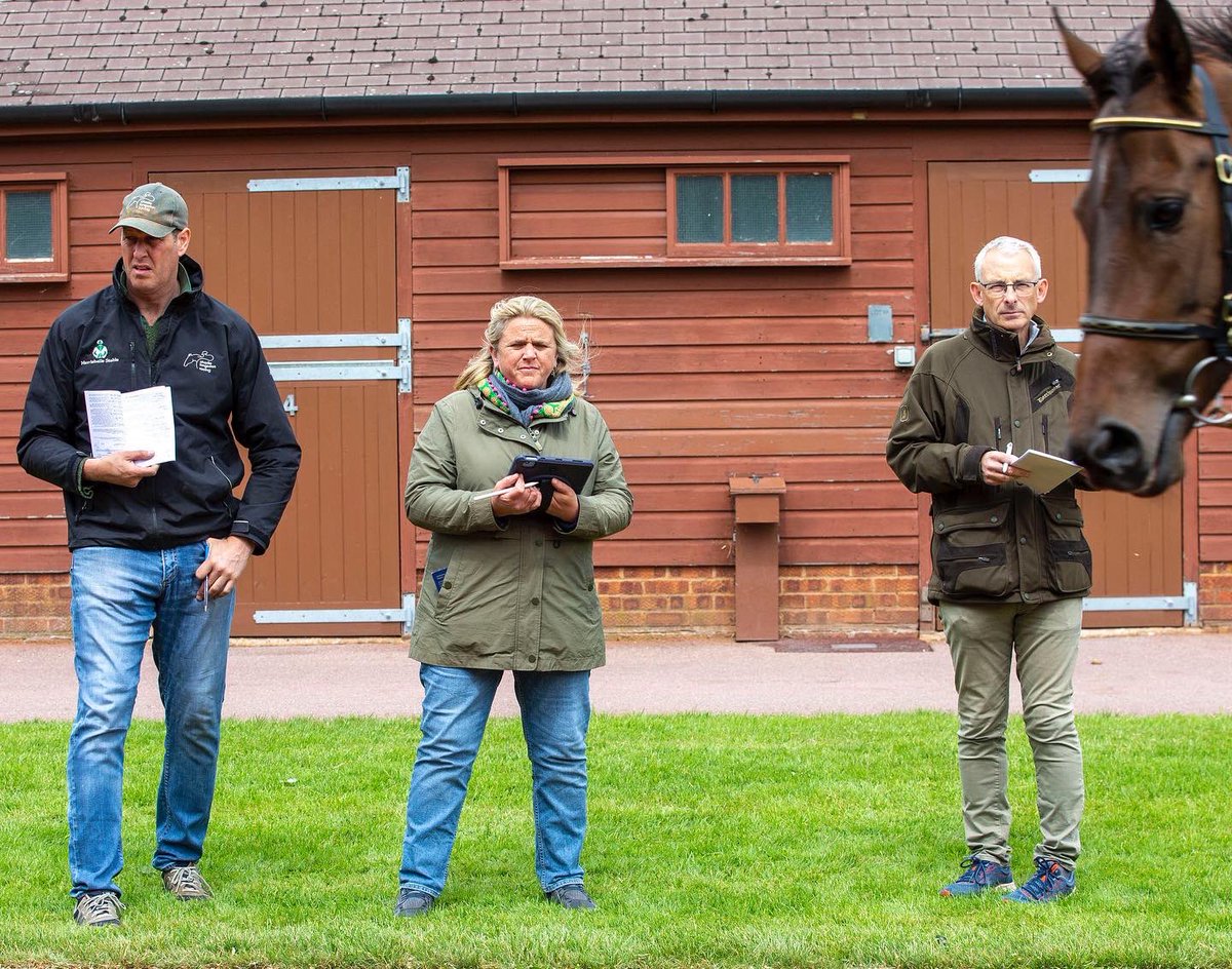 Tattersalls1766's tweet photo. A great atmosphere at Park Paddocks ahead of tomorrowβs inaugural #TattsMayNH Sale. https://t.co/GyHeKPtx2s