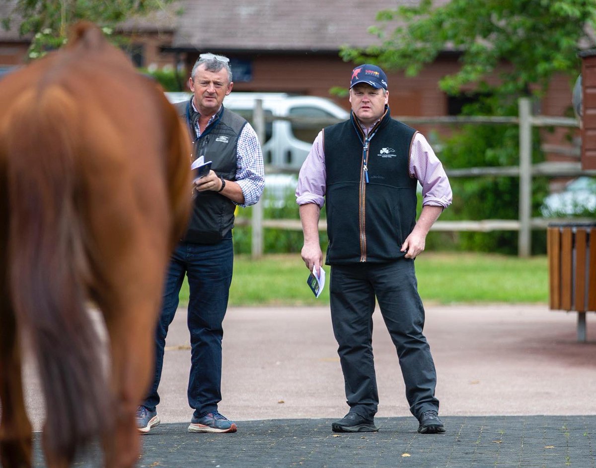 Tattersalls1766's tweet photo. A great atmosphere at Park Paddocks ahead of tomorrowβs inaugural #TattsMayNH Sale. https://t.co/GyHeKPtx2s