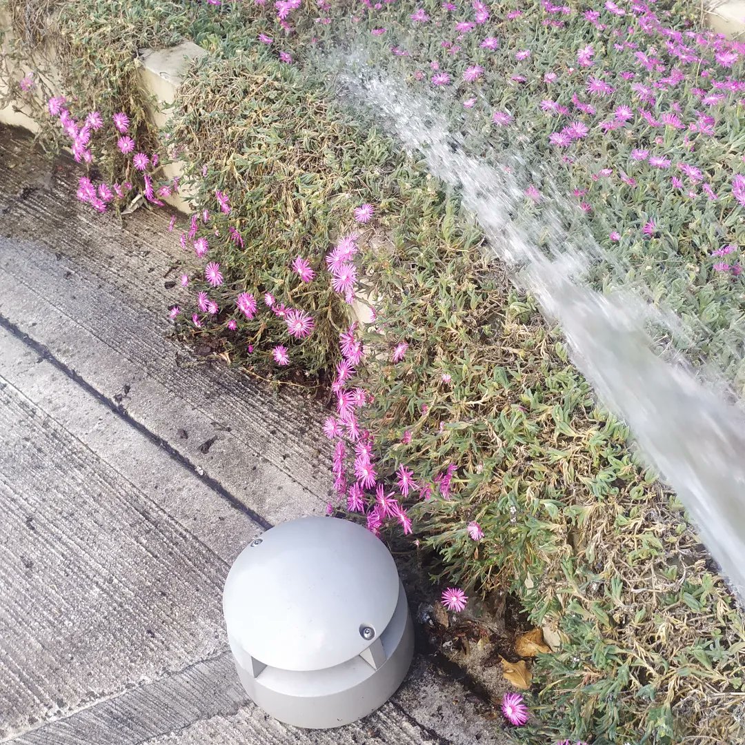 SanJacopino's tweet photo. Riprendiamo la manutenzione e la cura del #verdepubblico
non piove da tempo e le temperature si sono alzate parecchio e siamo solo a maggio
Oggi #innaffiatura al verde intorno alla #fiorenza #talani #sanjacopino
Noi ci siamo sempre #avantitutta💪
@SanJacopino @comunefi https://t.co/trQ3lRtYmp