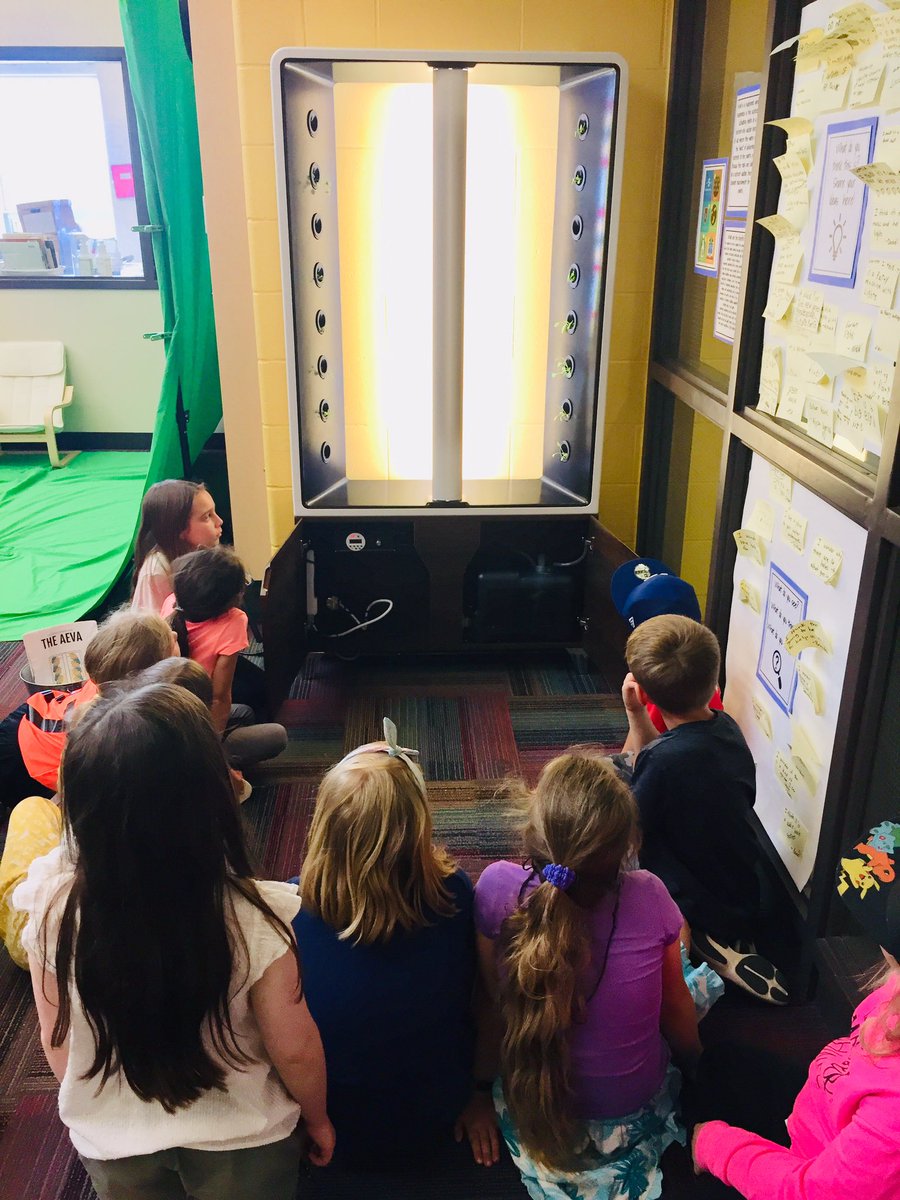 Angle_Bellmoore's tweet photo. Learning more about our hydroponic garden in our @Bellmoore_HWDSB Learning Commons. Lots of rich conversations about the benefits of hydroponic gardening &amp; food insecurity. Ss are seeding, maintaining our garden &amp; harvesting nutritious food. @oslacouncil @CdnSchoolLibrar @HWDSB https://t.co/HkpzVAZABw