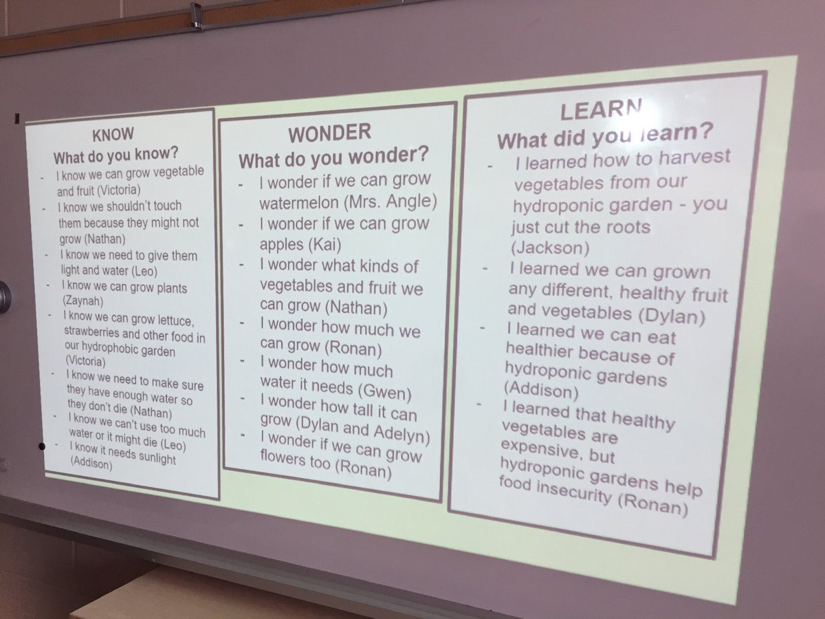Angle_Bellmoore's tweet photo. Learning more about our hydroponic garden in our @Bellmoore_HWDSB Learning Commons. Lots of rich conversations about the benefits of hydroponic gardening &amp; food insecurity. Ss are seeding, maintaining our garden &amp; harvesting nutritious food. @oslacouncil @CdnSchoolLibrar @HWDSB https://t.co/HkpzVAZABw