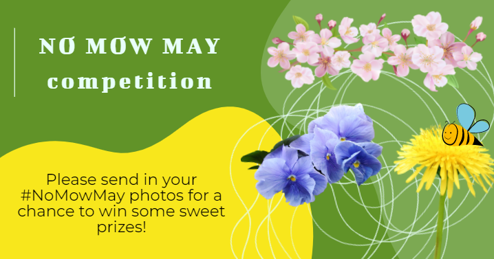 PetitcodiacWA's tweet photo. Attention all loyal #NoMowMay participants! We have some big and small prizes to give out for the best No Mow May lawns. Please send in your photos to be entered to win. The PWA team thanks you for not mowing on behalf of the biodiversity! 🦗🐞🐝🌸🍂 https://t.co/DYdEwC1Qob
