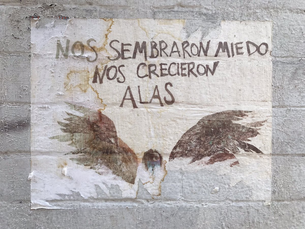 Que hablen las paredes. <a href="/ParedNoticias/">La Pared Noticias</a>